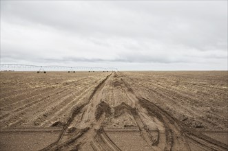Tire tracks in field