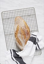 Overhead view of fresh rye bread and dishcloth