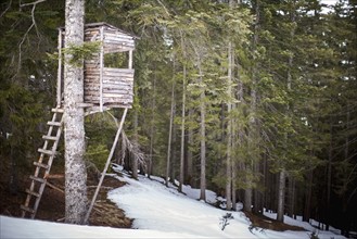 Austria, Salzburger Land, Maria Alm, Old wooden treehouse in snowy forest