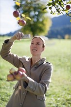 Austria, Salzburger Land, Maria Alm, Mature woman photographing apples on tree
