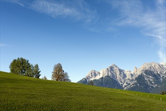 Austria, Salzburger Land, Maria Alm, Meadow with mountains in distance