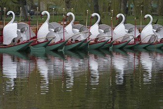 Massachusetts, Boston, Swan boats in Boston Public Garden