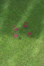 Massachusetts, Boston, High angle view of empty chairs on grass on Rose Kennedy Greenway