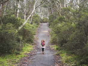 Australia, New South Wales, Katoomba, Young woman walking along empty road in forest