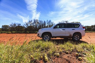 Australia, Outback, Northern Territory, Red Centre, West Macdonnel Ranges, SUV car in desert