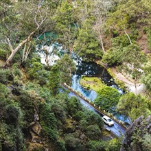 Australia, New South Wales, Jenolan Caves, Blue Lake, Car on road at shore of lake among forest covered slopes