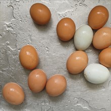 Chicken eggs on stainless steel.