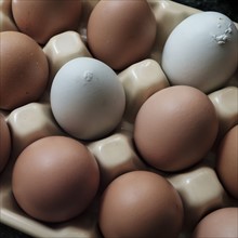 Chicken eggs in carton.