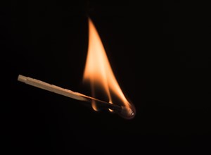 Studio shot of burning match.