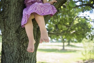 USA, Pennsylvania, Washington Crossing, Girl (2-3) climbing on tree