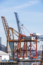 USA, New York State, New York City, Container cranes in commercial dock