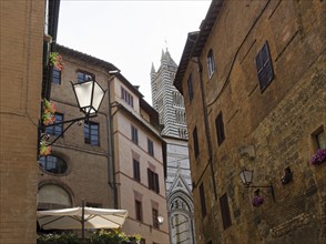 Italy, Siena, View of street in old town with Duomo di Siena in background