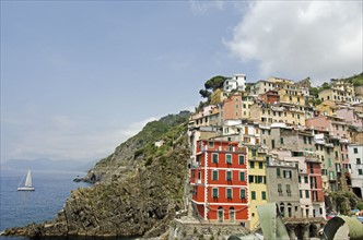 Italy, Cinque Terre, Riomaggiore, Multi colored buildings on hill by sea