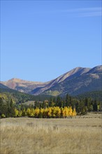 USA, Colorado, Kenosha Pass in fall