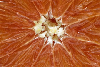 Close up of half of red orange