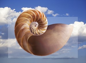 Digitally generated image of shell with sky in background.
