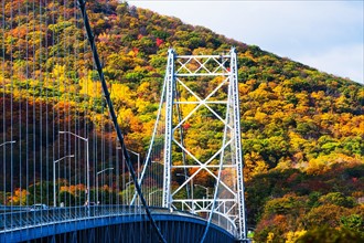 USA, New York, Bear Mountain with bridge above river