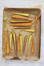 Sliced carrots on baking sheet