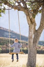 Child (4-5) sitting on swing under tree