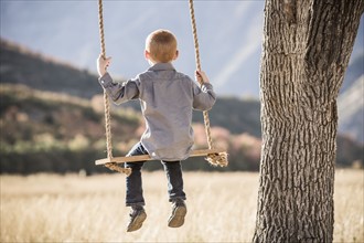 Boy (4-5) sitting on swing