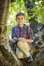 Smiling boy sitting on tree