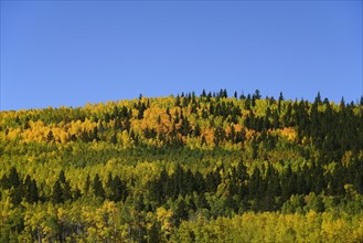 USA, Colorado, Scenic view of Kenosha Pass