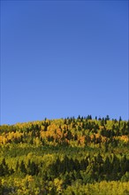 USA, Colorado, Scenic view of Kenosha Pass with blue sky