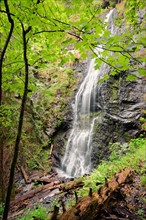 Ukraine, Zakarpattia, Rakhiv district, Carpathians, Majestic cascade waterfall in forest