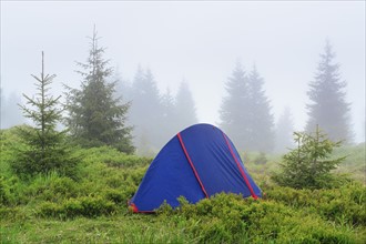 Ukraine, Zakarpattia, Rakhiv district, Carpathians, Maramures, Tent in wilderness