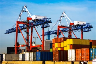 Cranes and cargo containers in dock