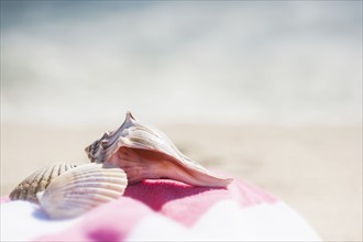 Close up of sea shells and beach towel on beach