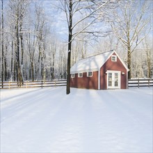 USA, New Jersey, Cabin in snowy woods