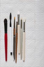 Various make up brushes lined on paper towel
