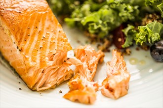 Salmon with salad on plate
