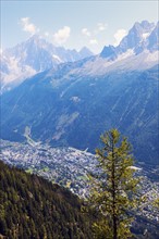 France, Auvergne-Rhone-Alpes, Chamonix seen from Reserve Naturelle de Carlaveyron