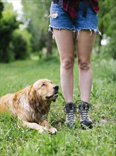 Dog lying beside young woman in shorts