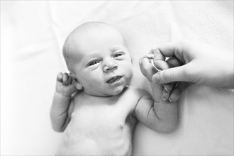 Portrait of newborn boy ( 0-1 months ) holding mother's hand