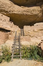 USA, Colorado, Ladders at Long House pueblo ruin in Mesa Verde National Park