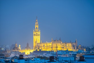 Spain, Seville, Giralda and Cathedral of Seville at dusk