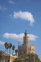 Spain, Seville, Torre Del Oro on sunny day