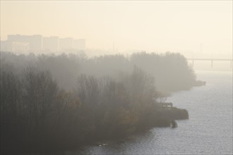 Ukraine, Dnepropetrovsk, Forest and river at foggy dawn