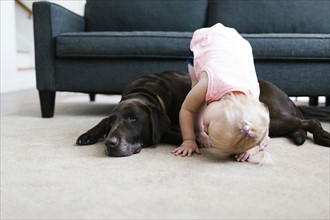 Small girl (2-3) playing with dog in living room