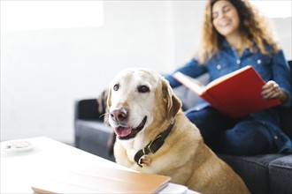Woman sitting with dog in living room and reading book