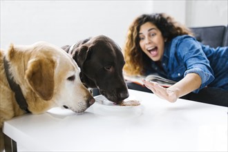 Woman screaming on dogs licking food on table