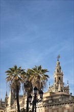 Spain, Andalusia, Seville, Giralda Tower with palm trees in foreground