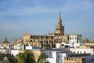 Spain, Andalusia, Seville, Cityscape with Giralda Tower and cathedral