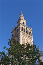 Spain, Seville, Facade of Giralda Tower