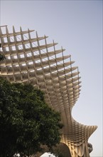 Spain, Seville, Part of Metropol Parasol and trees