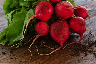 Bunch of red radishes on table