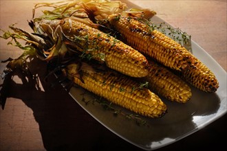 Grilled corn on cob with thyme on plate